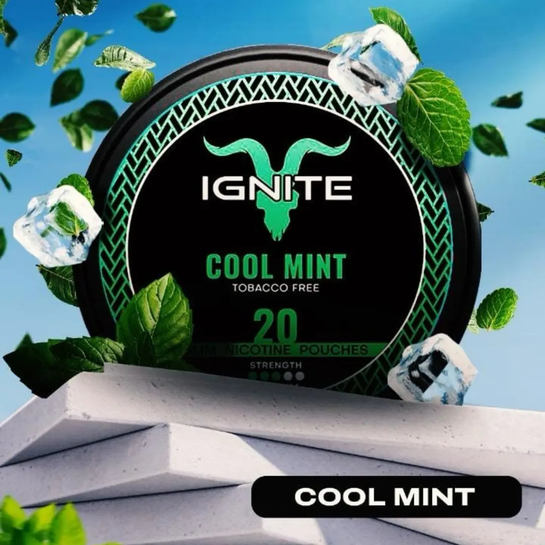IGNITE Cool Mint - Pouchdaddy