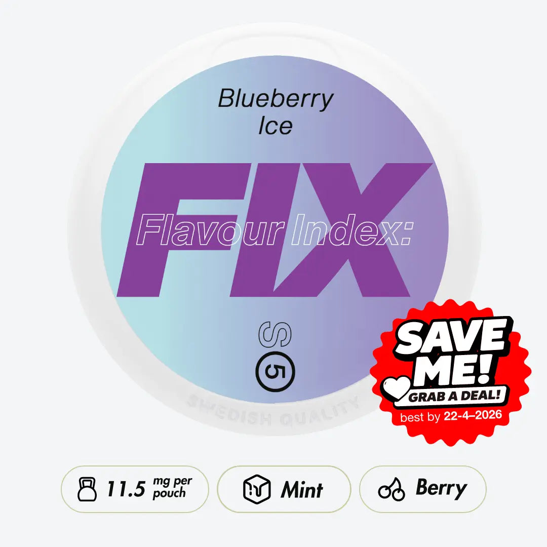 FIX Blueberry Ice #5 Strong - Pouchdaddy