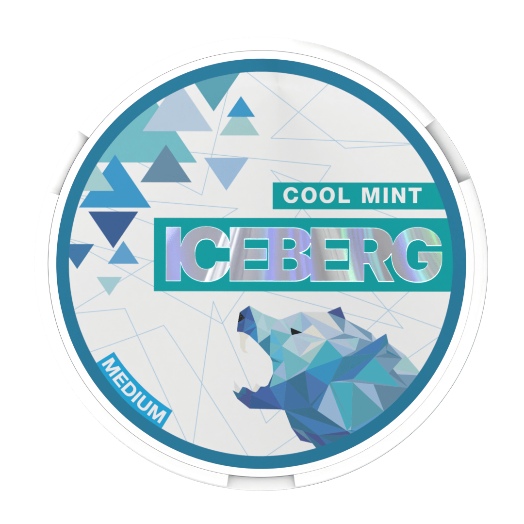 Iceberg Cool Mint 20mg - Pouchdaddy