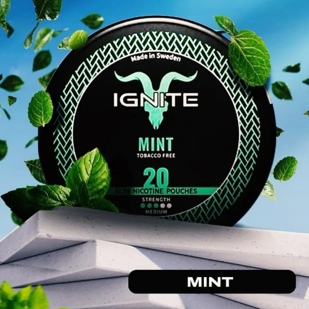 IGNITE Mint - Pouchdaddy