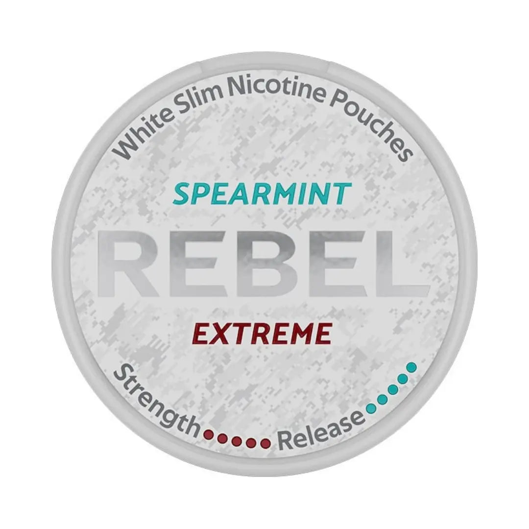 REBEL Spearmint Extreme - Pouchdaddy