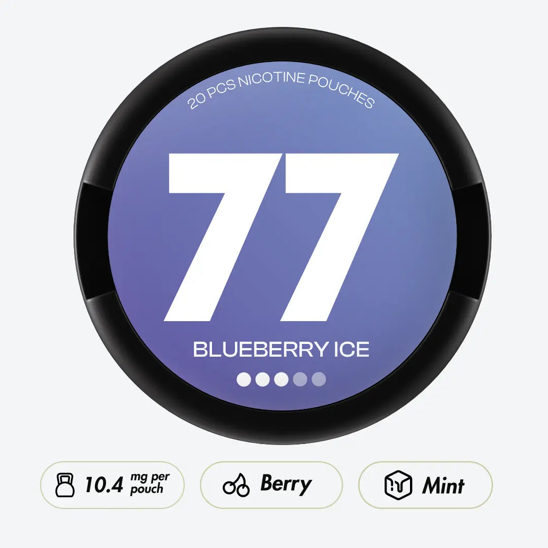 77 Blueberry Ice - Pouchdaddy