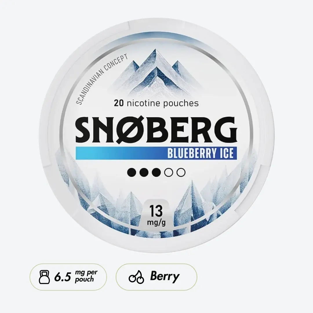 SNOBERG Blueberry Ice Medium - Pouchdaddy