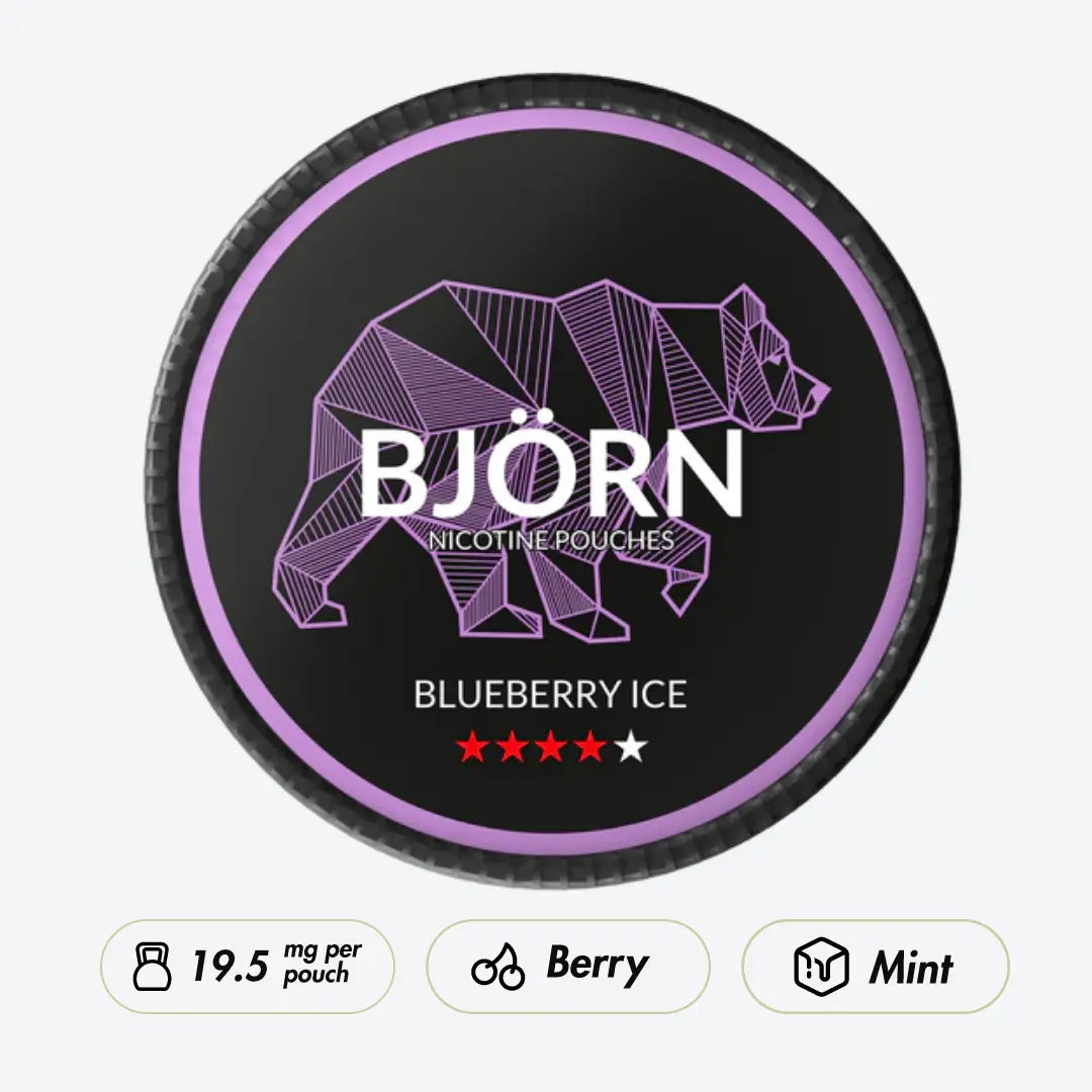 BJÖRN Blueberry Ice Strong - Pouchdaddy