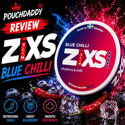 ZIXS Blue Chilli Review cover image